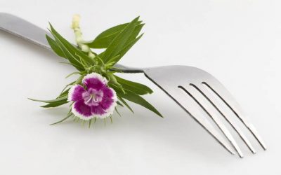 Catering Services